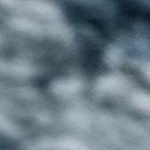 light gray, off white, navy, light blue, mustard