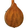 Kentucky KM-272 Deluxe Oval Hole A-Style Mandolin Transparent Amber - 4 of 4