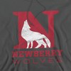 Newberry College Official Distressed Primary Logo Adult Pull-Over Hoodie - 2 of 4