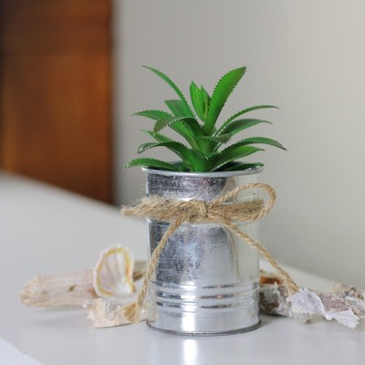 Festive 6" Mini Potted Green Succulent in Silver Tin Planter