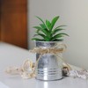 Northlight 6" Tropical Artificial Plant in Tin Planter - Green/Silver - image 3 of 3