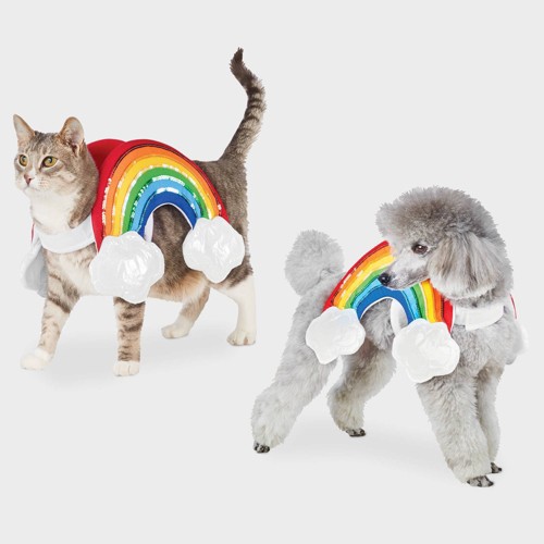 Rainbow with Clouds Halloween Dog and Cat Costume