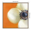 Amanti Art Contemporary Poppy by Danhui Nai Framed Canvas Wall Art - 4 of 4