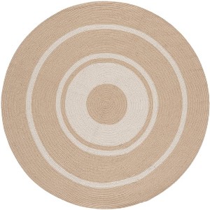 Braided BRA801 Hand Woven Indoor Rugs - Safavieh - 1 of 4