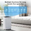 ZAFRO Dehumidifier for Home and Basement, 2500 Sq.Ft, 25 Pints/Day, Drain Hose, 3 Operation Modes, Auto Defrost, Water Full Indicator - 3 of 4