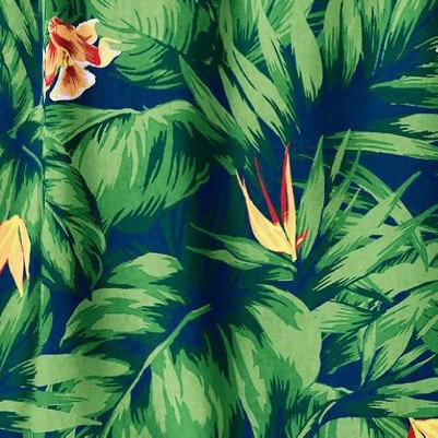 tropical floral