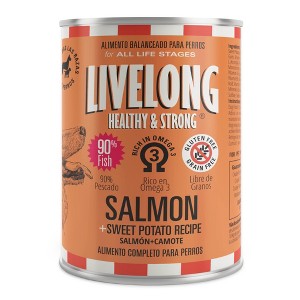 Livelong Healthy & Strong Salmon & Sweet Potato Wet Dog Food, 12pk 12.5oz Cans - 1 of 4