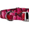 Country Brook Petz Premium Dog Collar - Affection Collection - 4 of 4