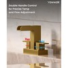 YAWWALK Centerset Double Handle Bathroom Faucet with Waterfall Spout (Valve Included) - 4 of 4