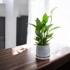 Set of 2 Ceramic Flowerpot, 7" Modern Planter for Patio, Garden, Windowsill - Grey - 2 of 4