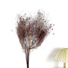 Alilang Decorative Dried Ming Fern Stems for Elegant Home Decoration and Creative Floral Arrangements, 19.5 Inches - 3 of 3