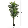 Nearly Natural 9-ft UV Resistant Artificial Double Robellini Palm Tree (Indoor/Outdoor) - 2 of 2