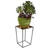 Indoor/Outdoor Arne Copper Plant Stand with Tray Black Powder Coat Finish - Achla Designs: Freestanding, No Assembly, 22.25" Tall - 2 of 4