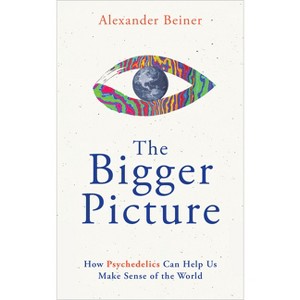 The Bigger Picture - by  Alexander Beiner (Paperback) - 1 of 1