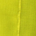 fluorescent yellow