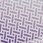 minnesota vikings