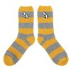 Harry Potter Hufflepuff Badger Adult Chenille Crew Socks - 2 of 4
