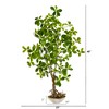 Nearly Natural 4-ft Schefflera Bonsai Artificial Plant in Planter - 2 of 3