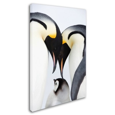 Trademark Fine Art -Robert Harding Picture Library 'Baby Penguin' Canvas Art