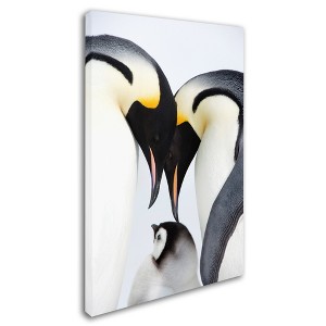Trademark Fine Art -Robert Harding Picture Library 'Baby Penguin' Canvas Art - 1 of 3
