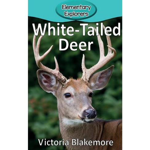 White-tailed Deer - (elementary Explorers) By Victoria Blakemore ...