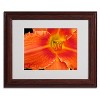 Trademark Fine Art - Kathie McCurdy 'Orange Day Lily' Matted Framed Art - 2 of 3