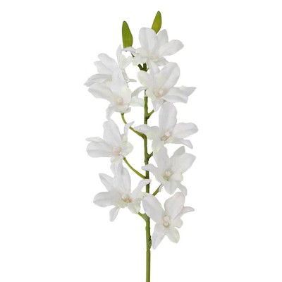 Floral Home 24" White Dendrobium Spray - 12-Piece