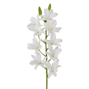 Floral Home 24" White Dendrobium Spray - 12-Piece - 1 of 2