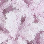pink+white