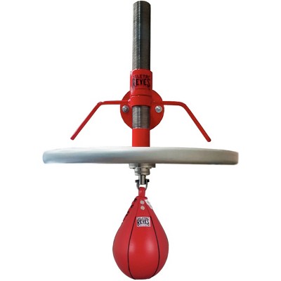 best speed bag mount