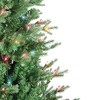 Kurt S. Adler 5' Pre-Lit Multicolor Incandescent Jackson Pine Tree - 2 of 2