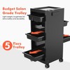 TASALON Rolling Salon Trolley Cart with 5 Drawers & Dryer Holder - Black - 4 of 4