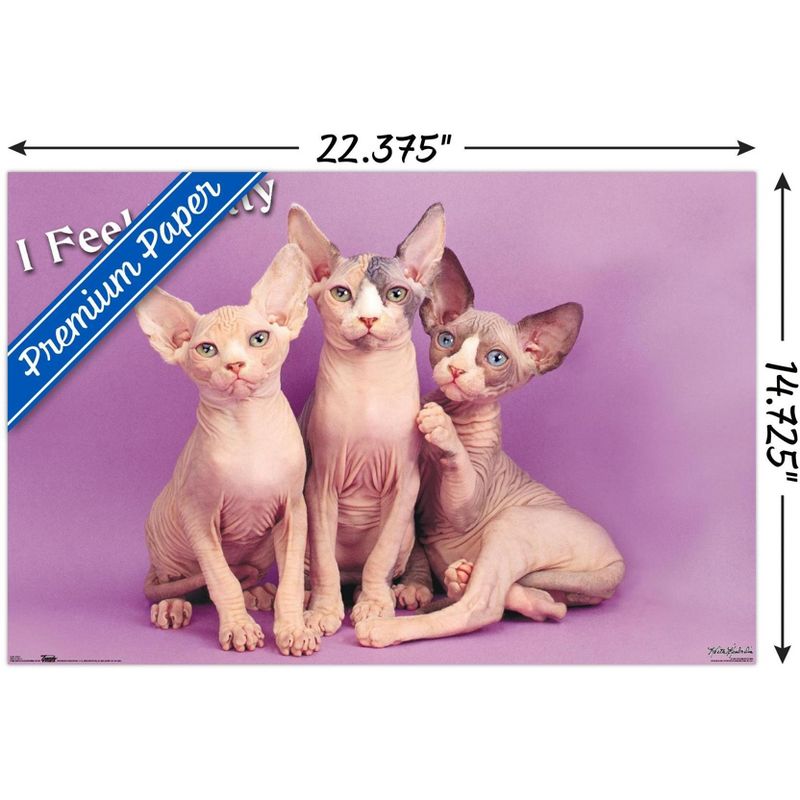 Trends International Keith Kimberlin - Kittens - Pretty Kitty Unframed Wall Poster Prints, 3 of 7