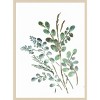 Amanti Art Farmhouse Botanicals II by Marcy Chapman Wood Framed Wall Art Print - 4 of 4