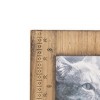 4x6 Inch Rustic Southwest Picture Frame Wood, MDF & Glass by Foreside Home & Garden - 3 of 4