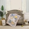 Disney Lion King Leader of the Pack Grey, Sage, and Yellow Super Soft Baby Blanket with Simba Applique - 4 of 4