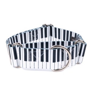 Country Brook Petz HossFit Jr Wide Martingale Dog Collar - Geek Chic Collection - 1 of 4