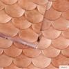 Tempaper Genevieve Gorder Brass Belly Peel and Stick Wallpaper - 4 of 4