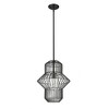 Z-Lite Orsay 1 - Light Pendant in  Matte Black - 3 of 4