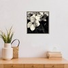 16"x16" Dogwood Flower No.3 by Gary Horsfall Framed Canvas Wall Art - Amanti Art: Modern Botanical Decor, Polystyrene Frame - 4 of 4