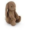 Snuggle Bunnies Stuffed Animal Penelope the Bunny - Plush Edition - 2 of 4