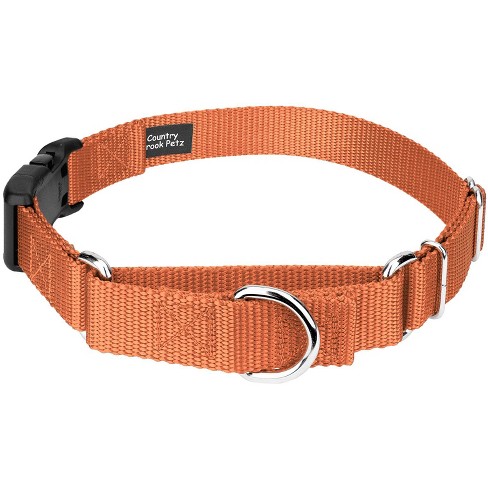 Country Brook Petz Heavy Duty Nylon Martingale Dog Collar With Deluxe Buckle 30 Vibrant Color Options 1 1 2 Inch Large Coral Target