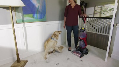 ProHeat 2X Revolution Silver Gray and Cobalt Blue Upright Carpet Cleaner