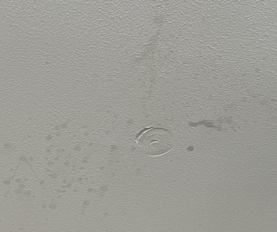 Guest review image 1 of 1, zoom in