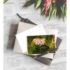 Best Paper Greetings Wild Animal Postcards – 40 Postcards – Bulk Set - Featuring Tigers, Bears, Giraffes, Elephants, & More – 4 x 6 Inches - 2 of 4