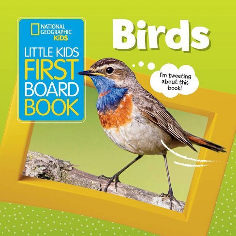 Little Kids First Board Book: Birds - (first Board Books) By Ruth ...