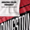 Youngstown State University Fan Zone Silky Touch Super Soft Throw Blanket 50x60 - 4 of 4