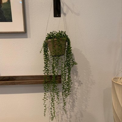 Artificial Plant String Green Beads Chains Plant Artificial Hanging Plant String  Of Pearls Fake Succulent Fake Plant For Home