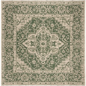 Beach House BHS137 Power Loomed Indoor/Outdoor Rugs - Safavieh - 1 of 4