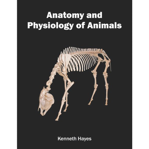 Anatomy and Physiology of Animals - by  Kenneth Hayes (Hardcover) - image 1 of 1